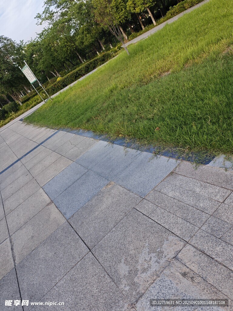 公园中的石板路与绿地