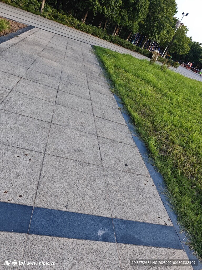 城市中平坦的步道与绿植