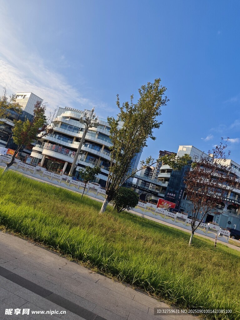 城市街道旁的现代建筑景观