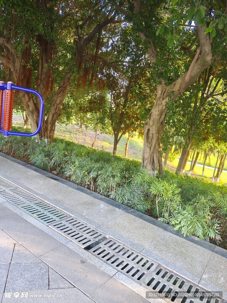 城市林荫下的休闲步道