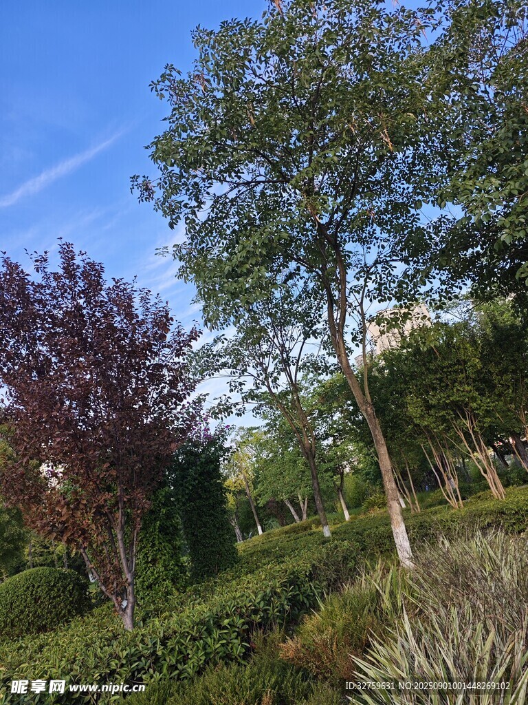 美丽园林景致