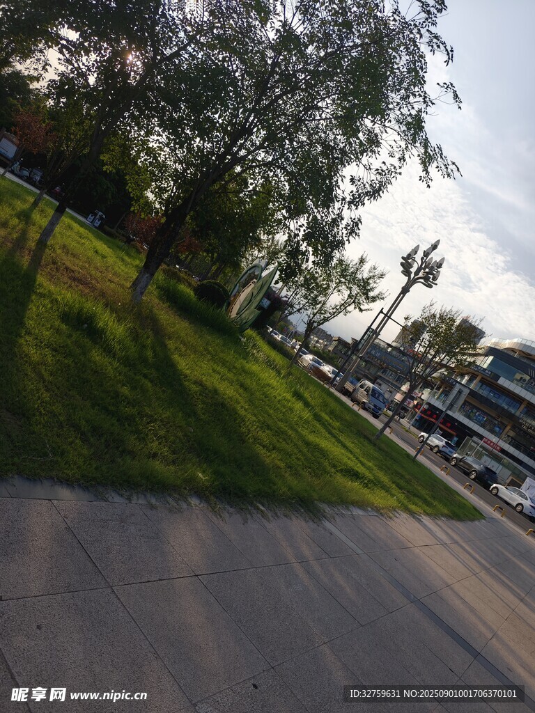 城市路边绿意盎然的景致