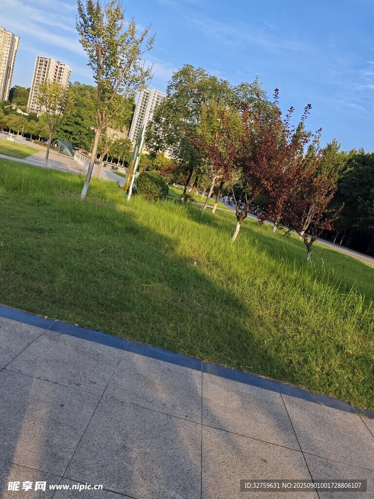 城市公园的绿意景致