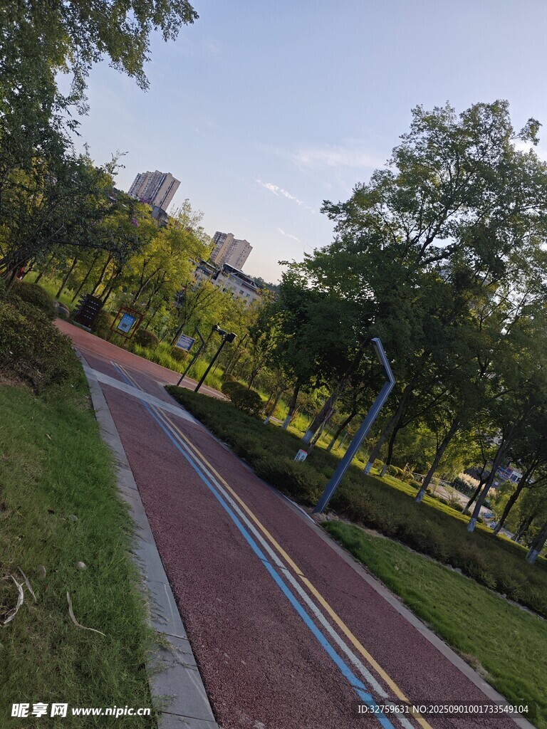 城市公园中的幽静健身步道