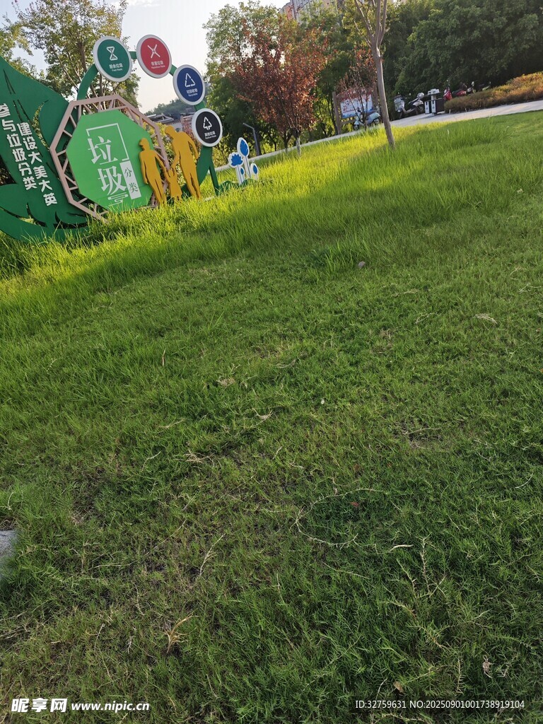 户外翠绿草坪景观