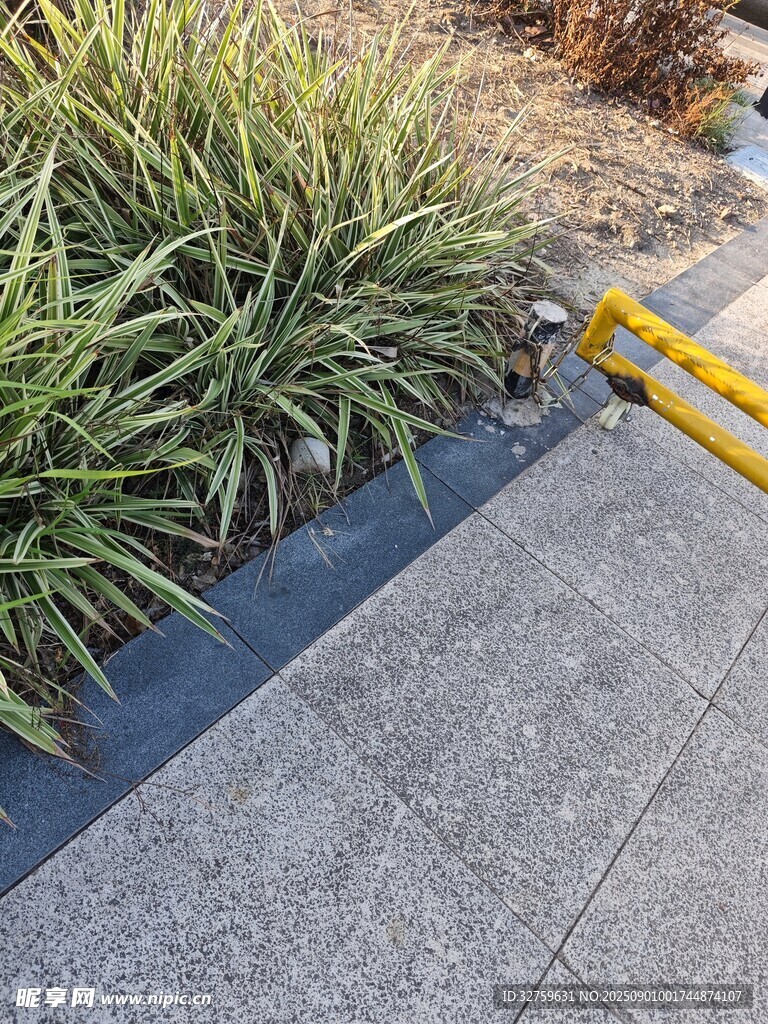 路边绿植旁的黄色栏杆
