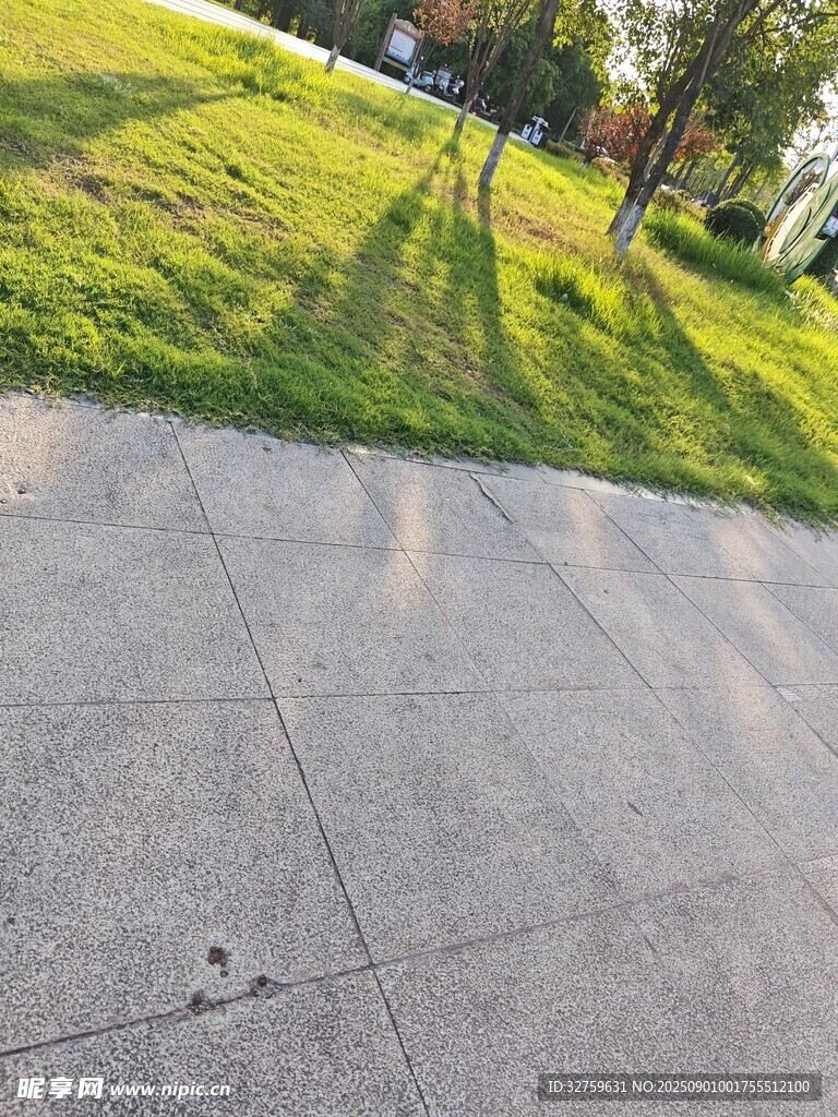 阳光照耀下的草地与路面