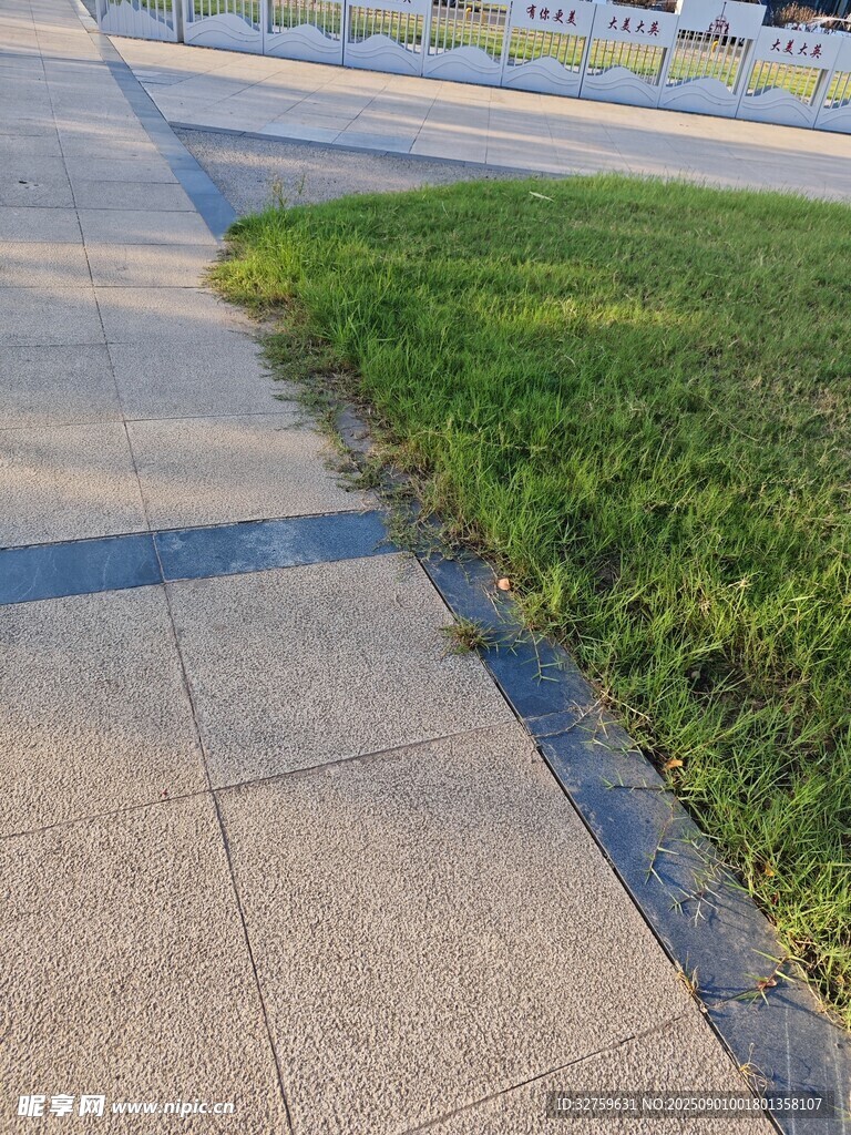 路边草地与水泥路面景观