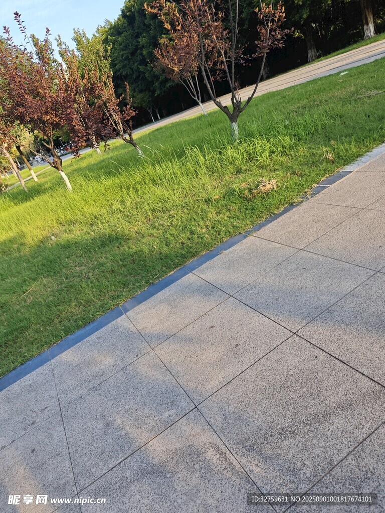 户外水泥路面旁的绿草地