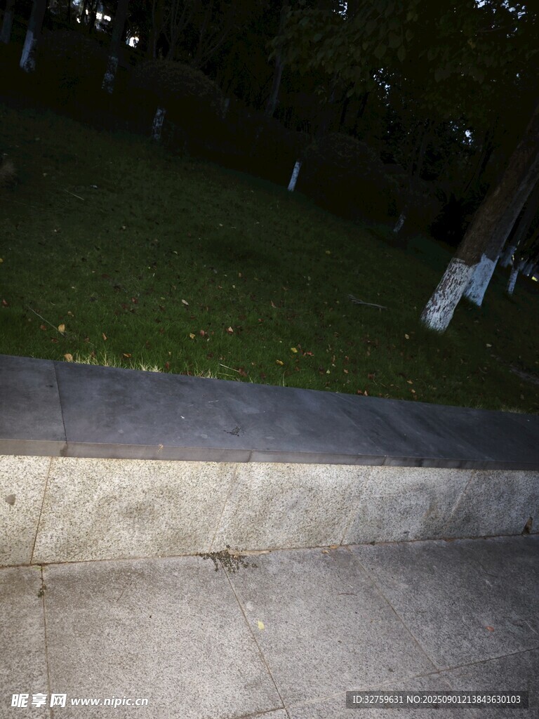户外水泥台旁的绿植区域