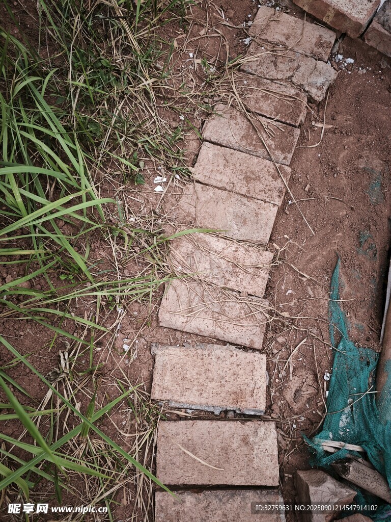 花园小径上的绿植与雕像