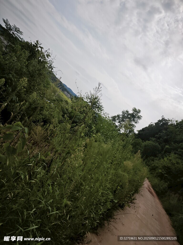 山间小径 