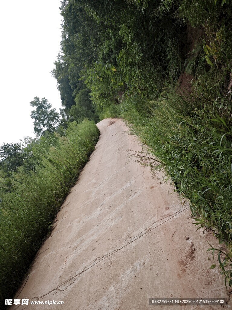 乡间蜿蜒小路 