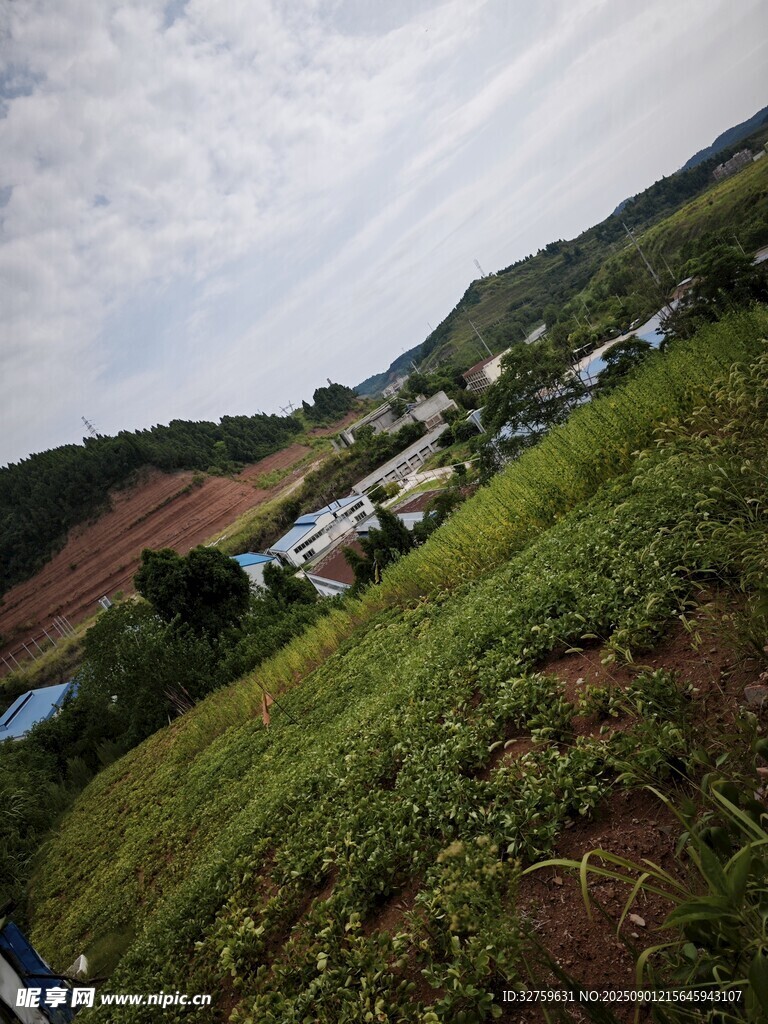 乡村田野风光俯瞰图