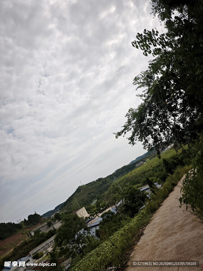 乡村小路旁的绿树与天空
