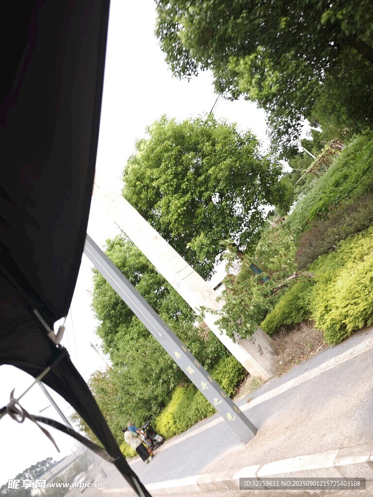 车内视角的户外绿化景观