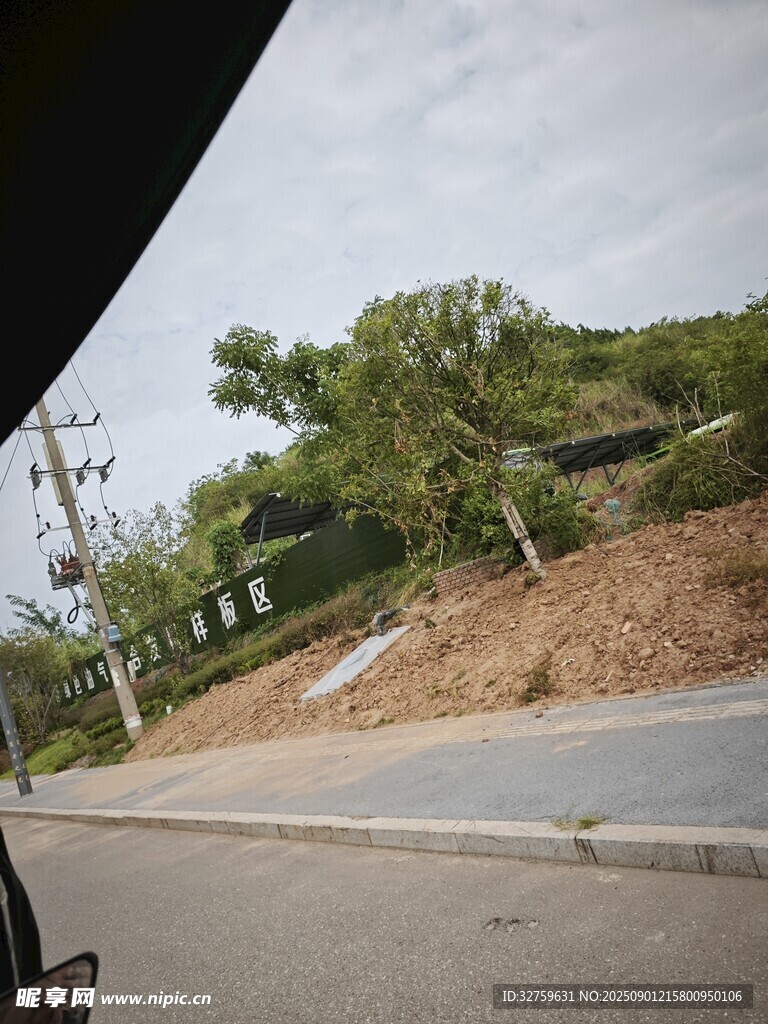 路边绿化景观场景