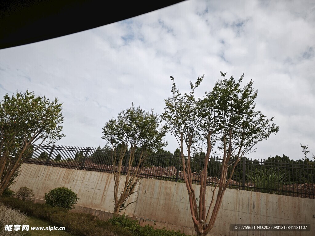 户外绿植景观