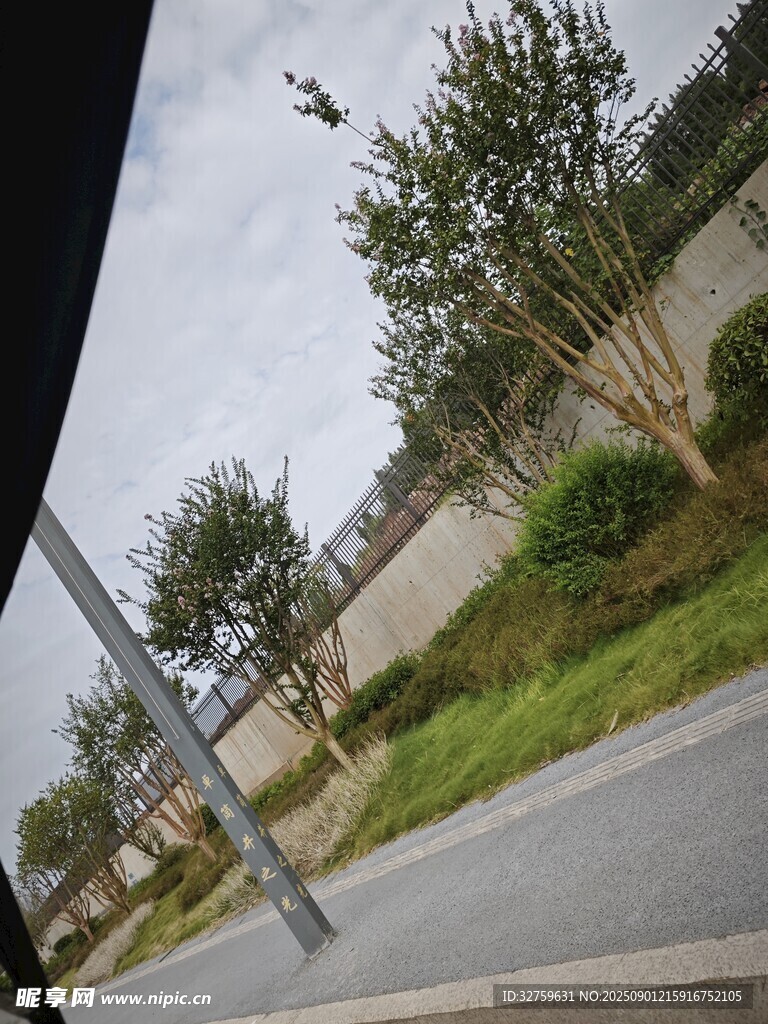 道路旁的绿植与围栏景观