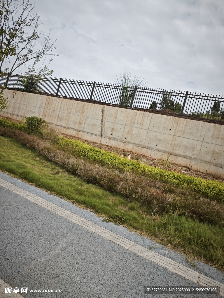道路旁的围墙与绿植景观