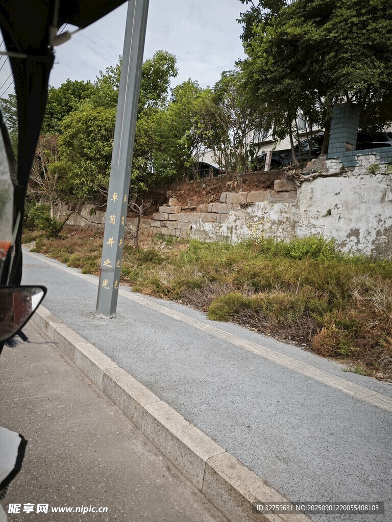 户外步道旁的自然景致