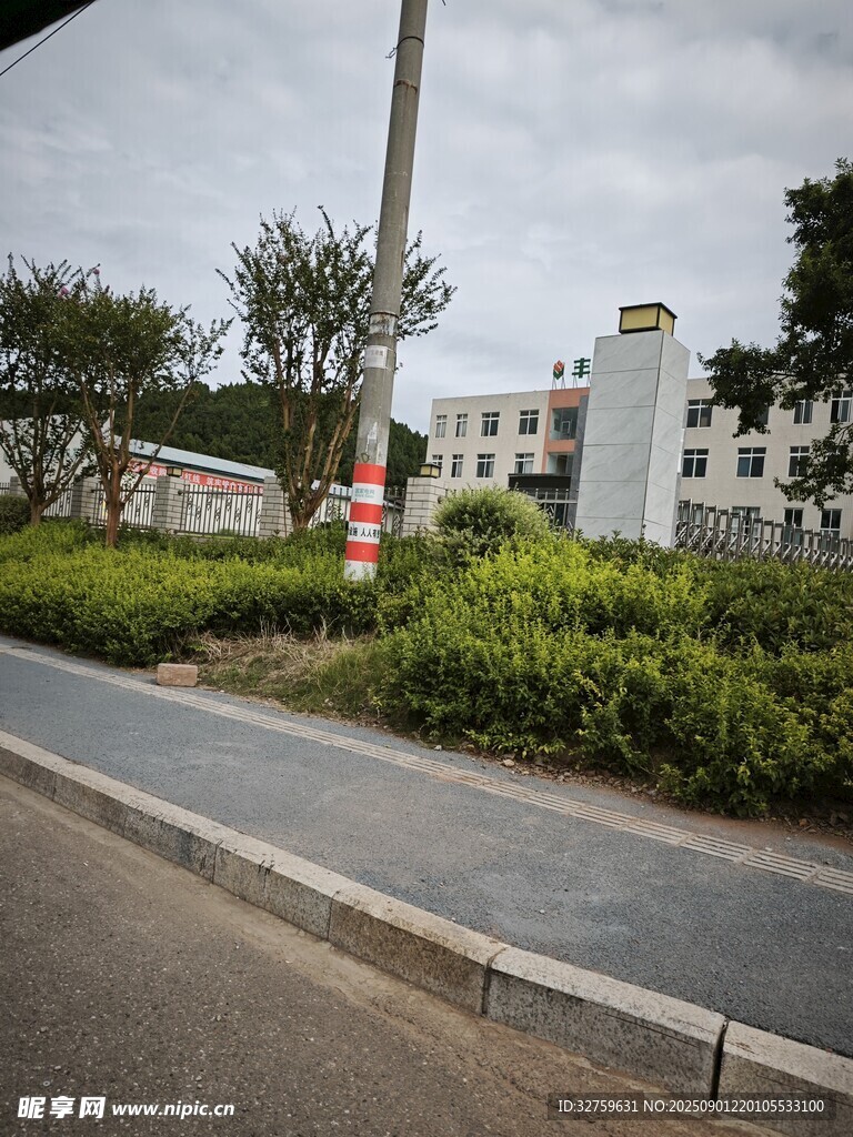 路边景致