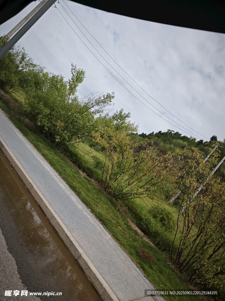 车窗外的绿野风景