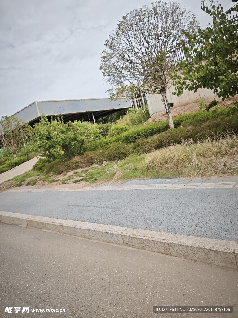 公路旁的建筑与绿植景观