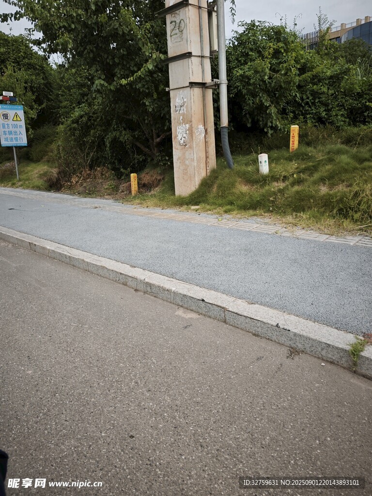 道路旁的设施与绿植