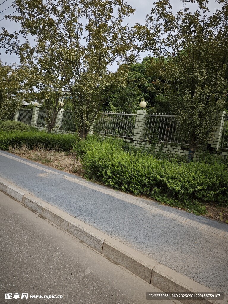城市路边绿化带景观