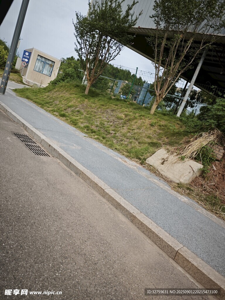 路边的人行道与绿植景观