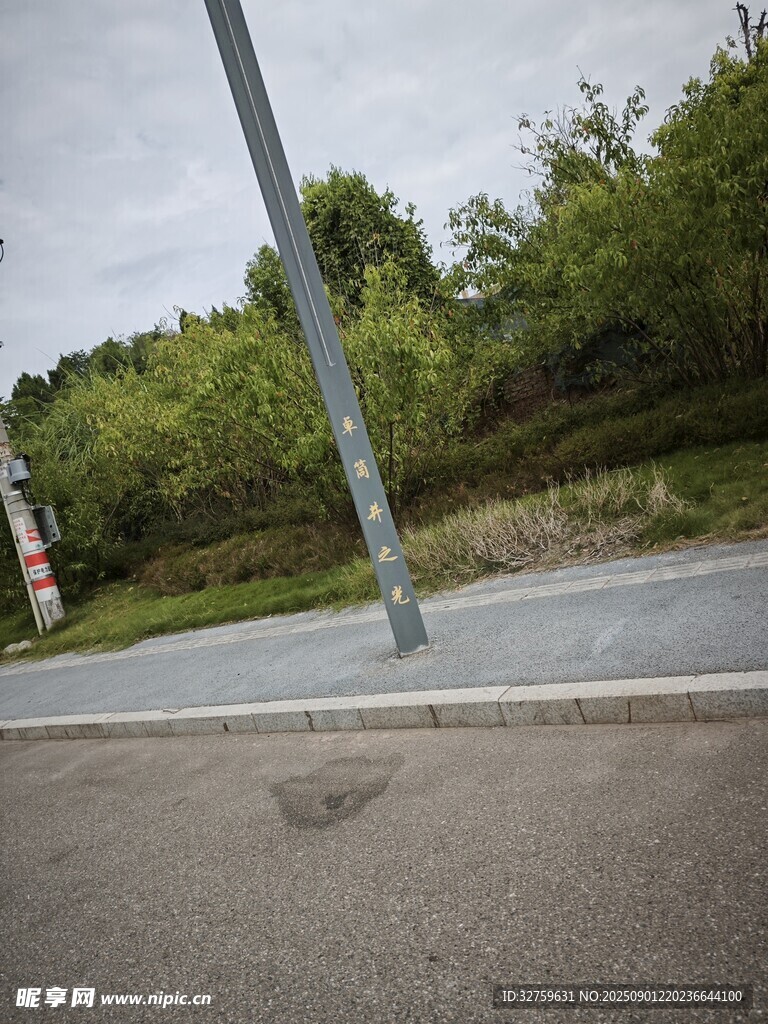 道路旁的树木与电线杆