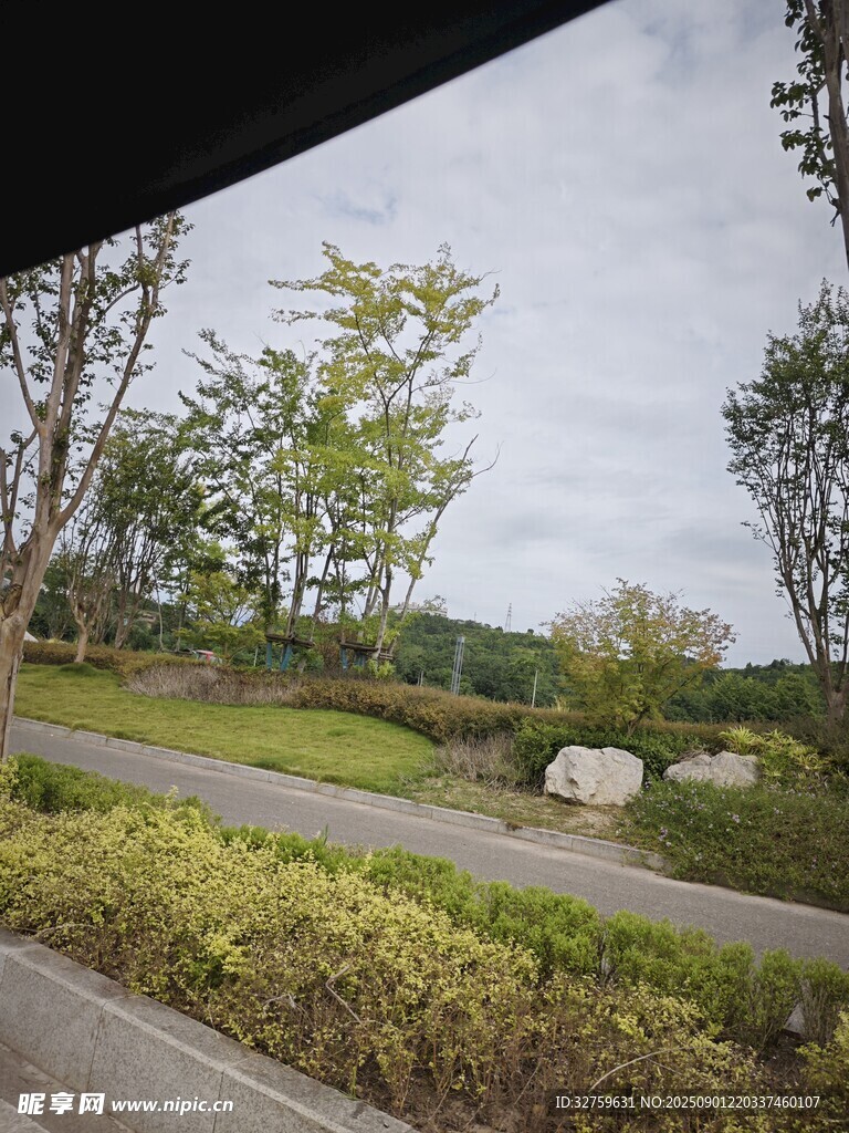 户外自然景观中的蜿蜒小径