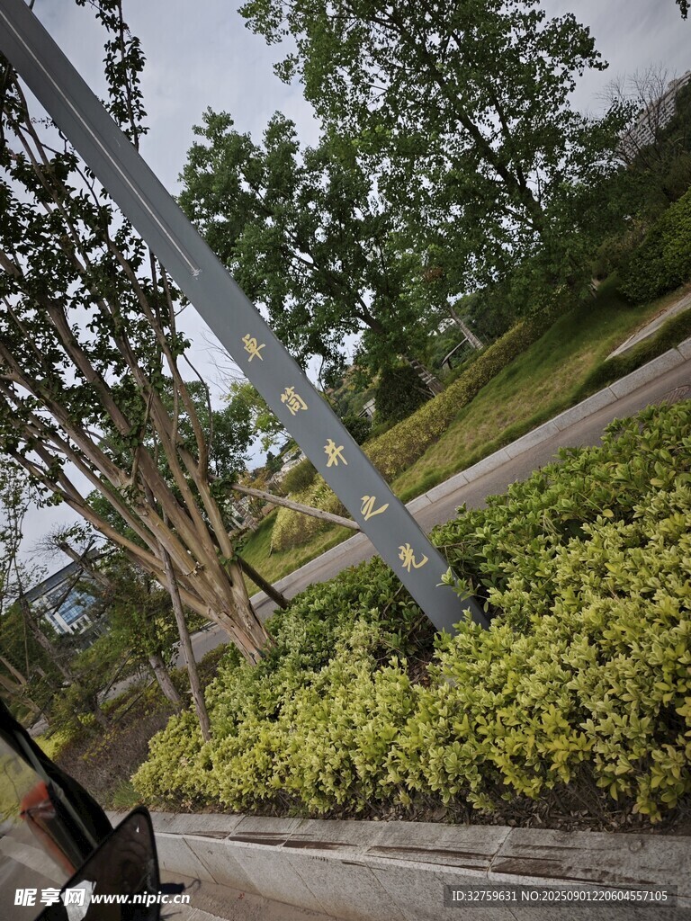 骑行视角下的绿植与风景