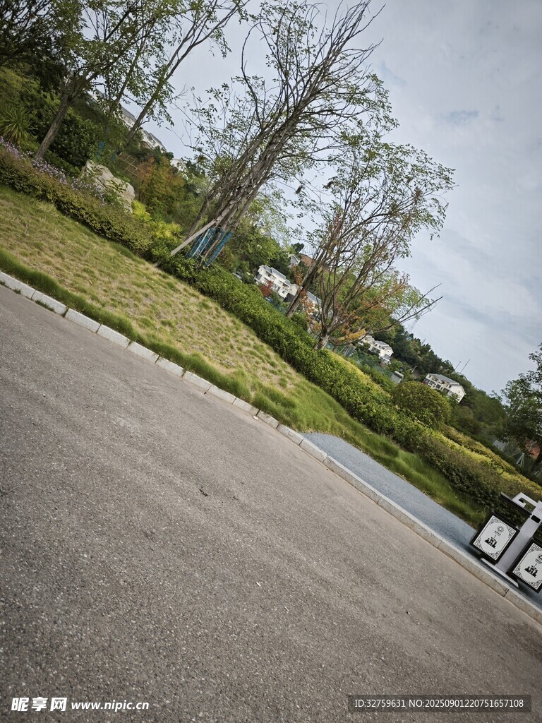 户外空旷道路与绿植景观