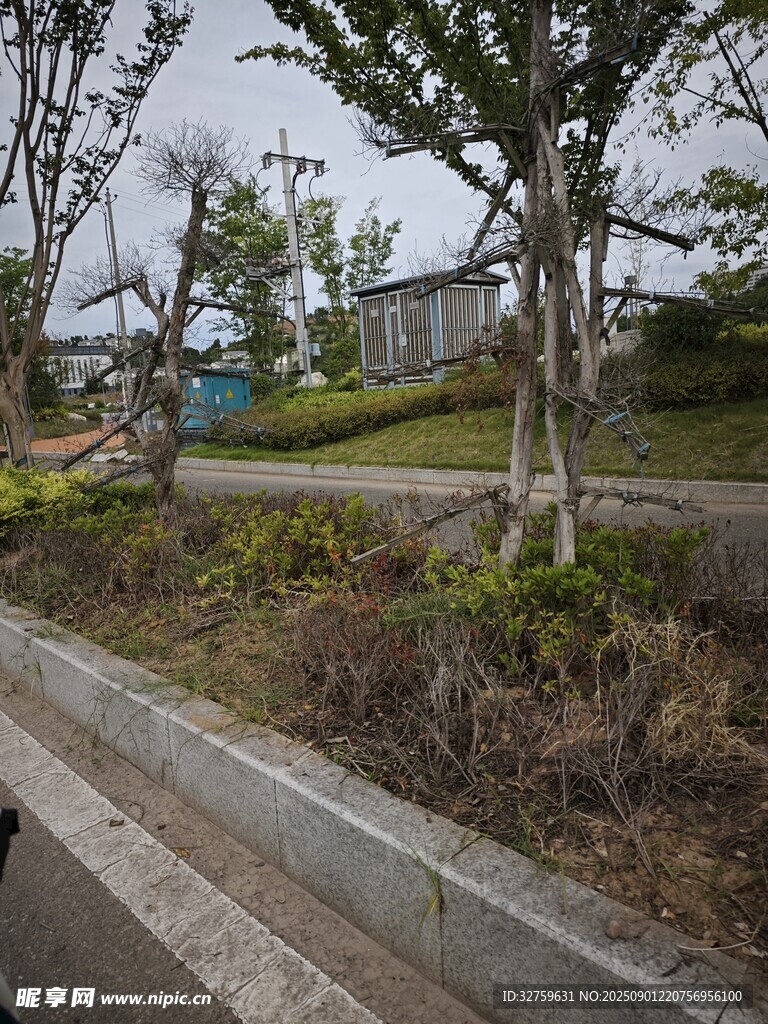 户外街边绿植景观