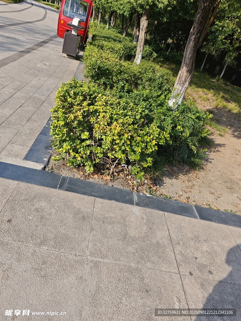 路边绿植景观