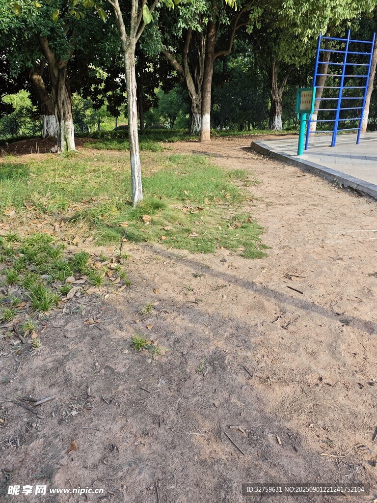 户外公园的草地与树木