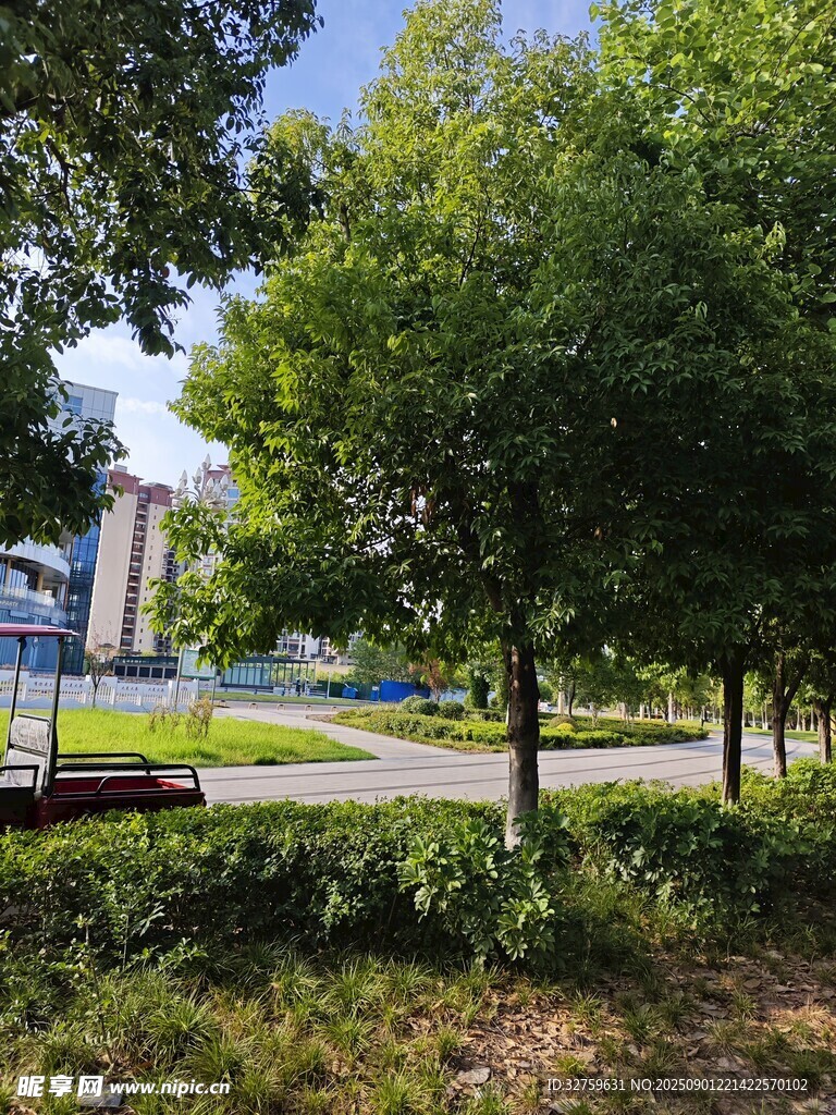 公园绿树成荫的休闲场景