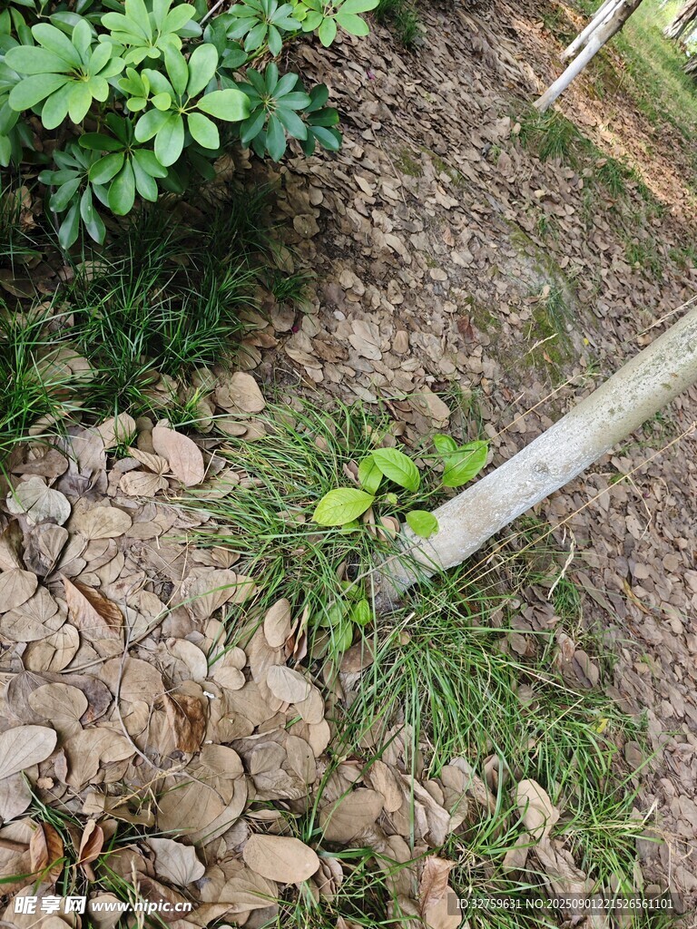 庭院角落绿植与碎石景观