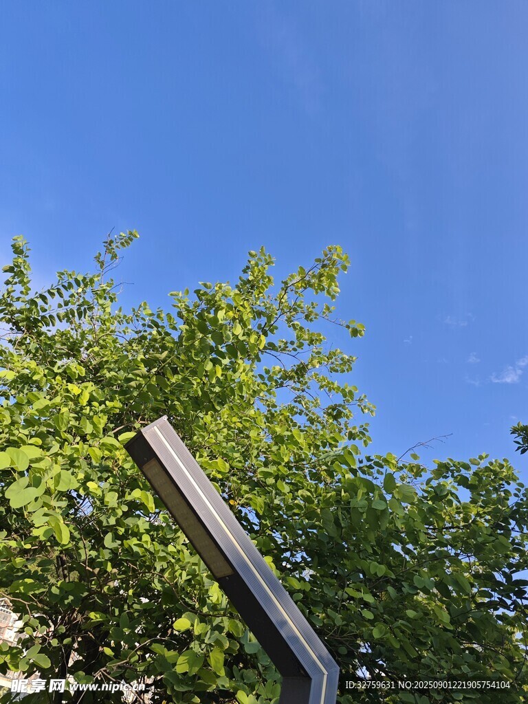 蓝天绿树间的路标