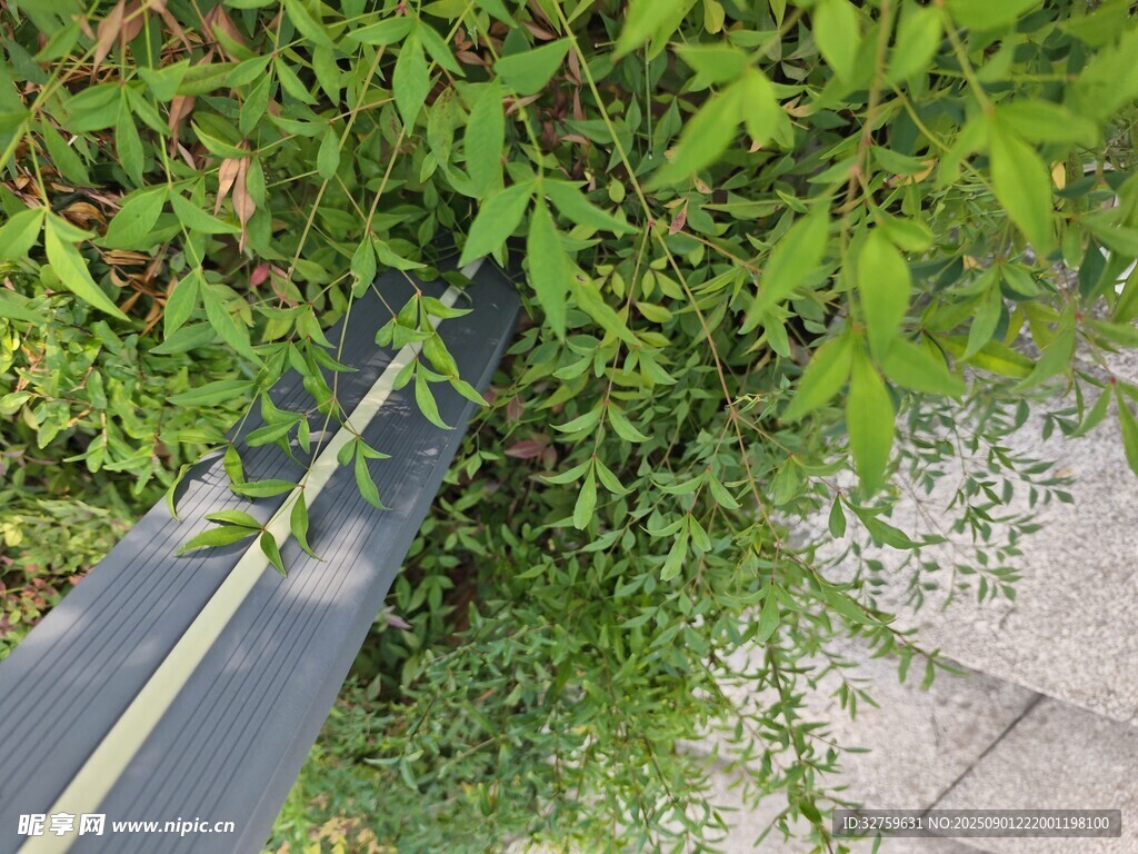 绿植环绕的灰色管道