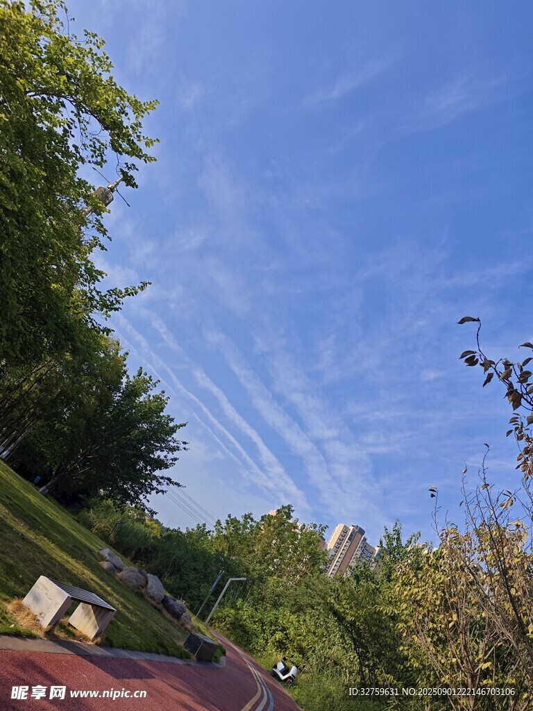蓝天绿树间的清新景致