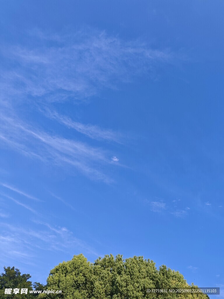 蓝天绿树美景