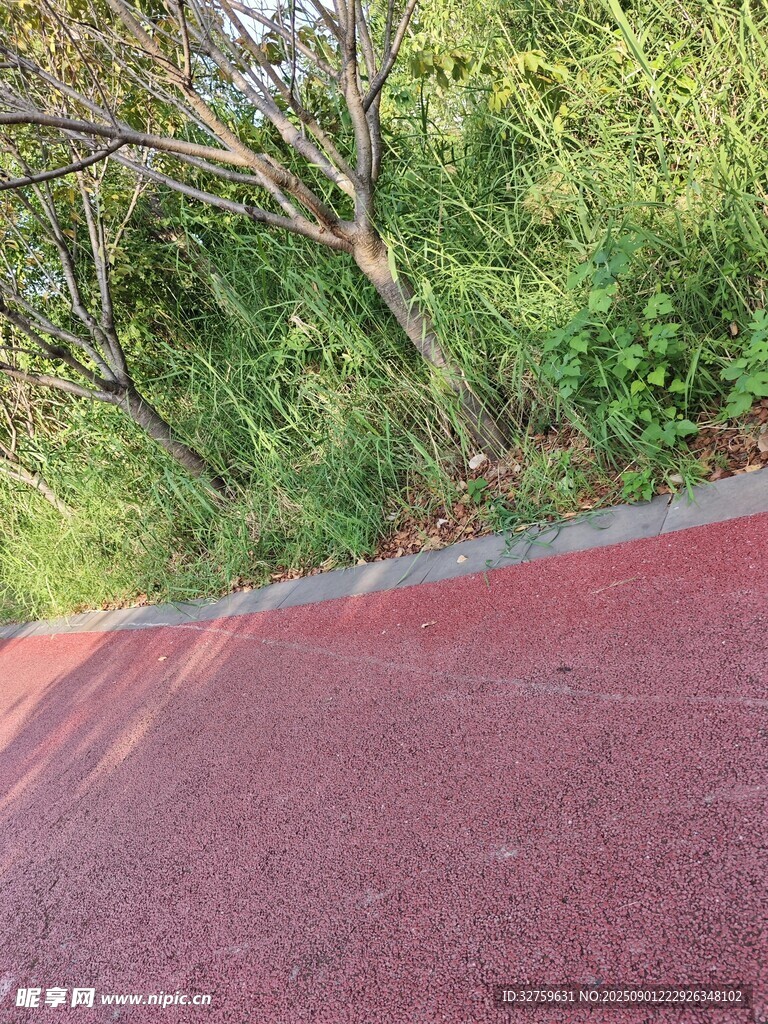 林间红色步道