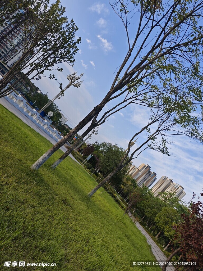 城市公园绿意盎然景致