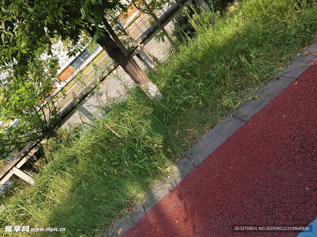 户外红跑道旁的绿植景观