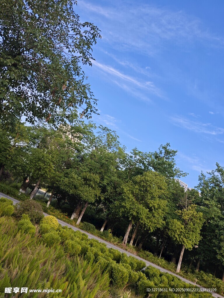 蓝天绿树间的清新景致