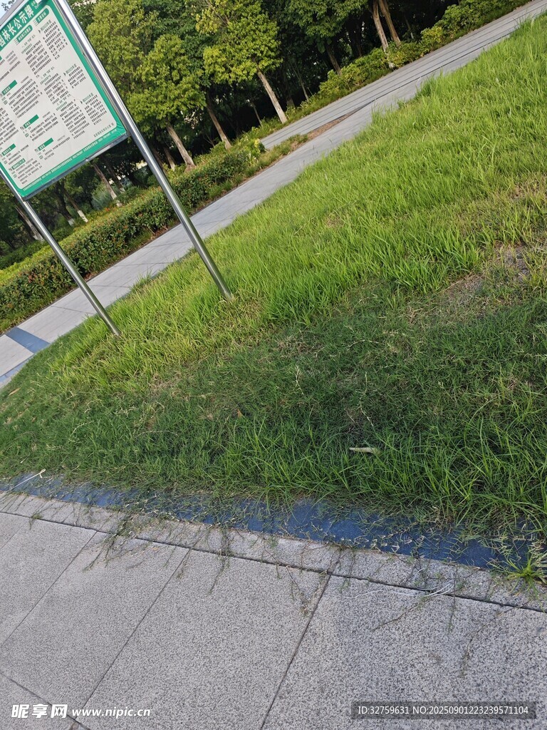 路边草地与指示牌景观