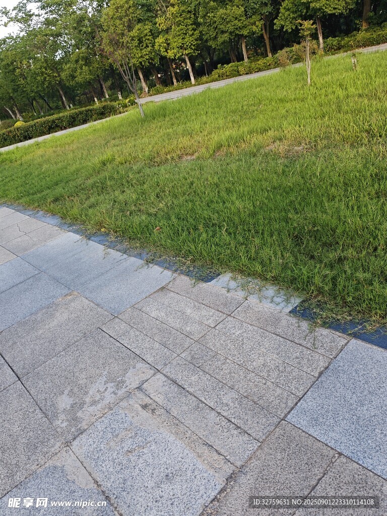公园石板路旁的翠绿草坪